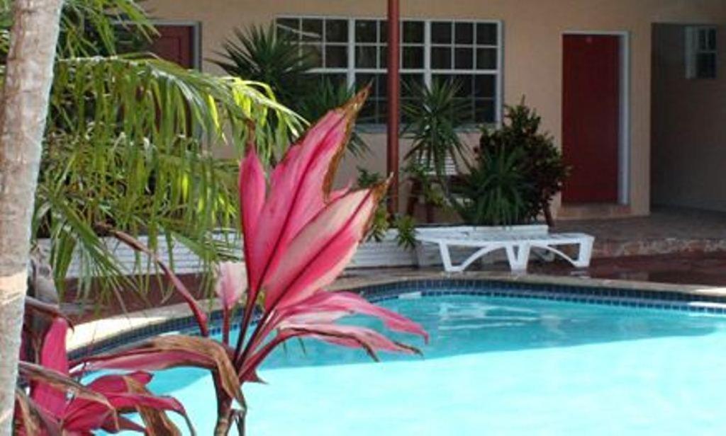 הוליווד Beach And Town Motel מראה חיצוני תמונה